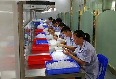 Liquid Silicone Rubber Injection Workshop