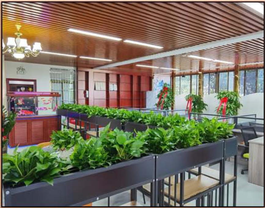 Office Area